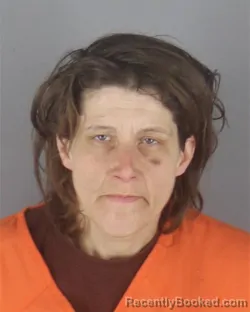 Mugshot of RANDI JEANNE FULLER booked in Hennepin County, Minnesota on April 24, 2026