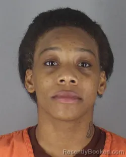 Mugshot of ERICKA PHYLIEIA PRE HOLTON ADAMS booked in Hennepin County, Minnesota on April 25, 2026