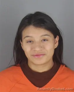 Mugshot of RIA ANN RYAN booked in Hennepin County, Minnesota on April 26, 2026