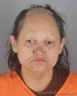 Mugshot of CHERYL ANN KANGAS booked in Hennepin County, Minnesota on April 27, 2026
