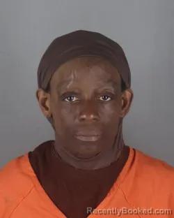 Mugshot of DOMONIQUE RENEA HOLMES booked in Hennepin County, Minnesota on April 28, 2026
