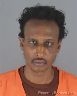 Mugshot of ISMAIL MAHAMED ALI booked in Hennepin County, Minnesota on April 29, 2026