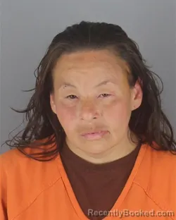 Mugshot of ANNA MAE GOODMAN booked in Hennepin County, Minnesota on April 30, 2026