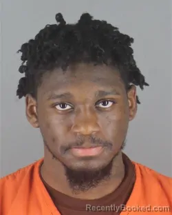 Mugshot of NAMIRILOVE LAQUNDAS TANNER booked in Hennepin County, Minnesota on May 5, 2026