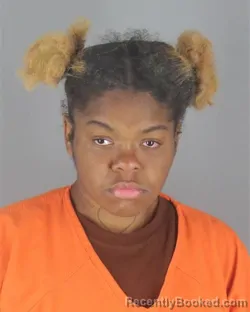 Mugshot of DEAVONNA FERNETTA BROWN booked in Hennepin County, Minnesota on May 6, 2026