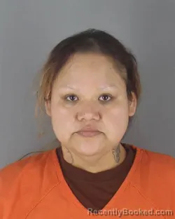 Mugshot of DELSA MARIE THUNDERHAWK booked in Hennepin County, Minnesota on May 7, 2026