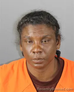 Mugshot of DOMINIQUE MARIE JOHNSON booked in Hennepin County, Minnesota on May 8, 2026