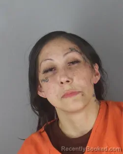 Mugshot of ASHLEY LOUISE MITCHELL booked in Hennepin County, Minnesota on May 8, 2026
