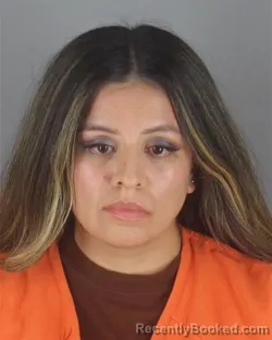 Mugshot of HEIDI ANGELIC ALFARO booked in Hennepin County, Minnesota on May 10, 2026