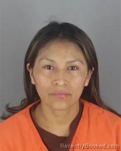 Mugshot of LUZ LEONOR CHISAG booked in Hennepin County, Minnesota on May 13, 2026