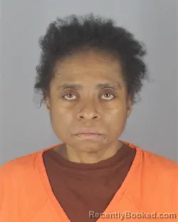 Mugshot of VALENCIA DENISE MEADOWS booked in Hennepin County, Minnesota on May 15, 2026