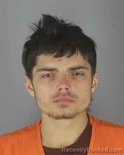 Booking photo from Hennepin County, Minnesota