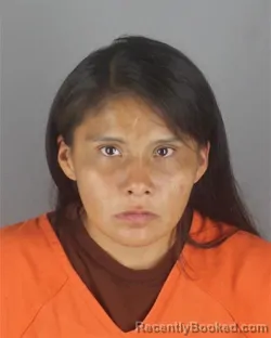 Mugshot of SHALEISHA ROSE WHITE booked in Hennepin County, Minnesota on June 24, 2026