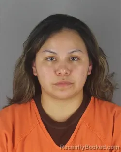Mugshot of TINA MICHELLE THUNDER HAWK booked in Hennepin County, Minnesota on June 26, 2026