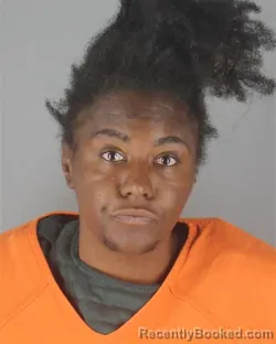 Mugshot of REALITY RICKAYA JOHNSON booked in Hennepin County, Minnesota on June 28, 2026
