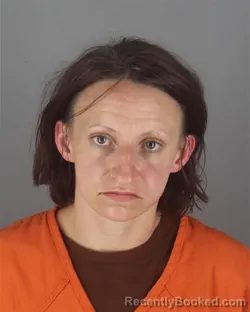 Mugshot of NICOLE JEANINE HIGGINS booked in Hennepin County, Minnesota on June 29, 2026