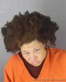 Mugshot of AMBERLEE REGGIA CARLENE SMITH booked in Hennepin County, Minnesota on June 30, 2026