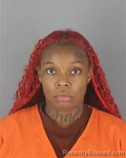 Mugshot of ARTERRIA LYNNELLE LIPSEY booked in Hennepin County, Minnesota on July 2, 2026