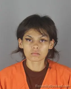 Mugshot of CESIA ROSEMARIE WHITE booked in Hennepin County, Minnesota on July 2, 2026
