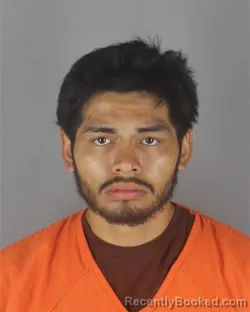 Mugshot of EDTSON GABRIEL RAMOS booked in Hennepin County, Minnesota on July 3, 2026
