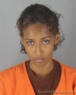 Mugshot of SAHRA OSMAN IBRAHIM booked in Hennepin County, Minnesota on July 4, 2026