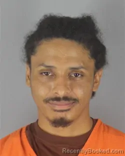 Mugshot of TERRANCE LEE RYAN booked in Hennepin County, Minnesota on July 4, 2026