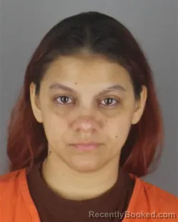 Mugshot of YESIDETH CAROLINA BORGES FUENMAYOR booked in Hennepin County, Minnesota on July 4, 2026