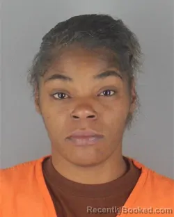 Mugshot of IDA DIANE BROWN booked in Hennepin County, Minnesota on July 5, 2026