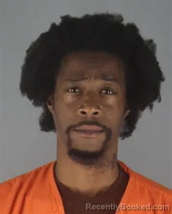 Mugshot of HENRY THEON MCNEIL booked in Hennepin County, Minnesota on July 7, 2026