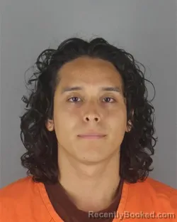 Mugshot of IOVANY DELEON booked in Hennepin County, Minnesota on July 8, 2026