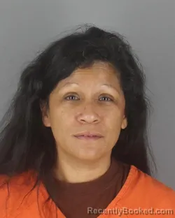 Mugshot of LISA LYNN LUNA booked in Hennepin County, Minnesota on July 10, 2026