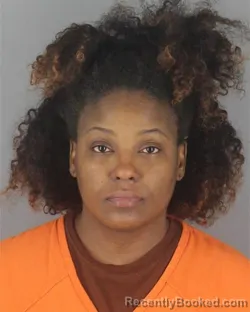 Mugshot of BRANDI DENISE WILSON booked in Hennepin County, Minnesota on July 10, 2026