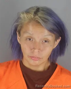 Mugshot of BRIANNA LOUISE KING booked in Hennepin County, Minnesota on July 10, 2026
