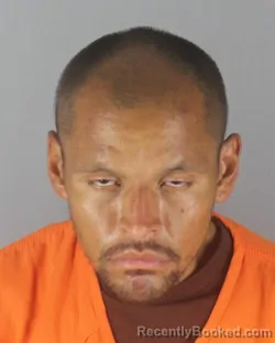 Booking photo from Hennepin County, Minnesota