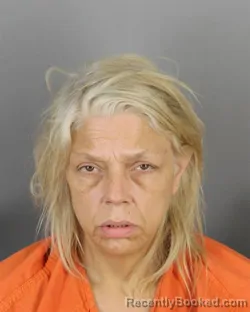 Mugshot of JACKIE ANN ANDERSON booked in Hennepin County, Minnesota on July 13, 2026