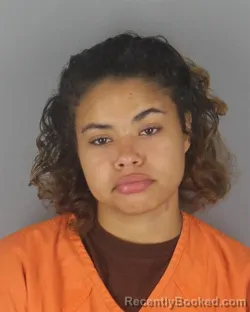 Mugshot of ZANIYAH JEANNE TOLES booked in Hennepin County, Minnesota on July 13, 2026