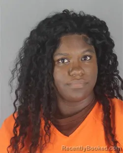 Mugshot of DAYSHA RAE PATTERSON booked in Hennepin County, Minnesota on July 13, 2026