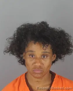 Mugshot of SANDREA NANCY MONIQUE MITCHELL booked in Hennepin County, Minnesota on July 13, 2026