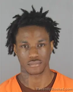 Mugshot of JAKAI TEAJAI RICE booked in Hennepin County, Minnesota on July 14, 2026
