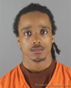 Mugshot of RICKEY OCTAVIAN JOHNSON booked in Hennepin County, Minnesota on July 14, 2026