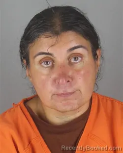 Mugshot of NATELLA GAVRIELOVA booked in Hennepin County, Minnesota on July 14, 2026