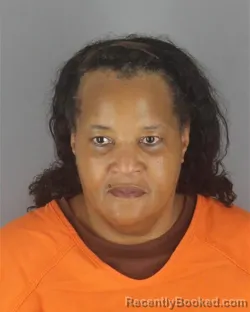 Mugshot of DIAMENIA ELNORA WILLIAMS booked in Hennepin County, Minnesota on July 14, 2026