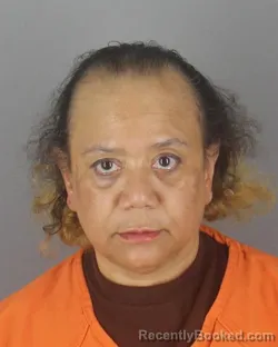 Mugshot of TINA MIRIAM SCOTT booked in Hennepin County, Minnesota on July 15, 2026