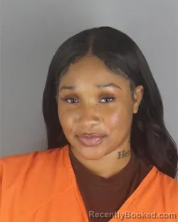 Mugshot of MALEAH SHANYA BASSETT booked in Hennepin County, Minnesota on July 21, 2026
