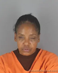 Mugshot of Geisha Ann Mcneal booked in Hennepin County, Minnesota on August 8, 2026