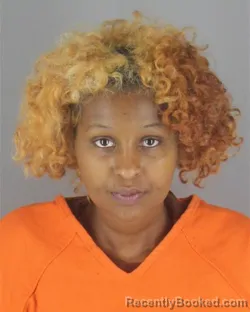 Mugshot of Shukri Abdullahi Abdisalan booked in Hennepin County, Minnesota on August 10, 2026