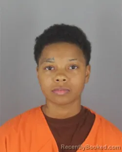 Mugshot of Nina Lashay Knox booked in Hennepin County, Minnesota on August 12, 2026