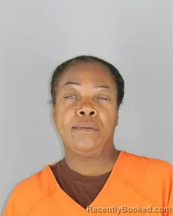 Mugshot of Teranda Brown booked in Hennepin County, Minnesota on August 23, 2026