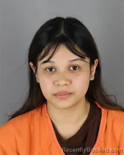 Mugshot of Reena Joy Robinson booked in Hennepin County, Minnesota on August 23, 2026