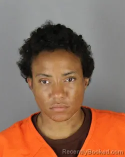Mugshot of Farzana Ramji Jones booked in Hennepin County, Minnesota on August 24, 2026